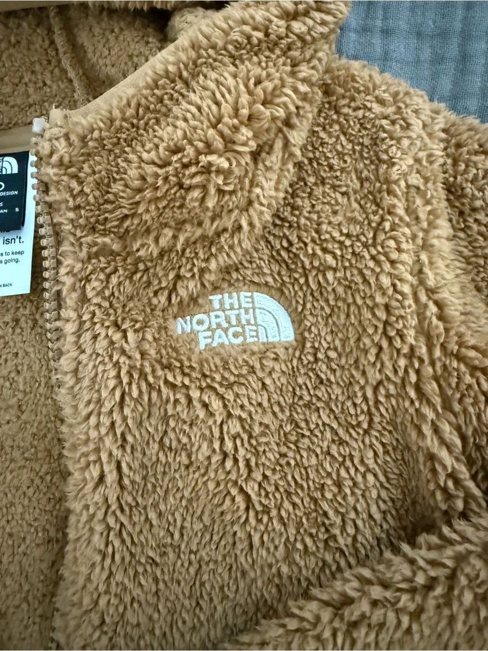 The North Face Kids Brown Sherpa Fleece Jacket with Hood